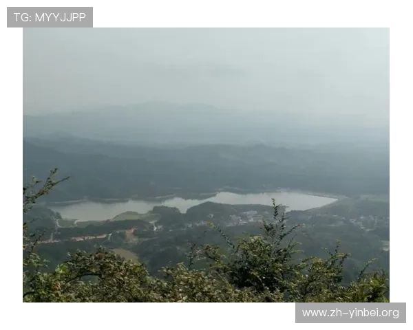 博9用户评价汇总分析真实玩家体验与建议分享