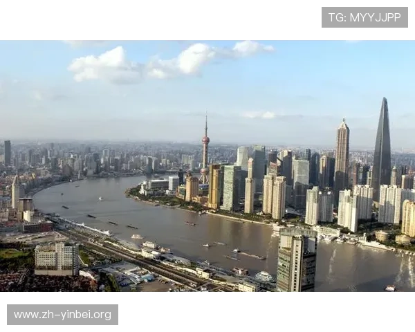 威龙国际：在国际市场中稳步扩展的金融巨头